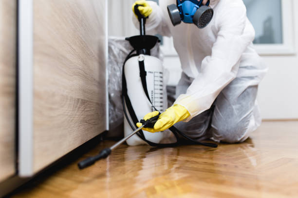 Best Emergency Pest Control  in Quail Creek, TX