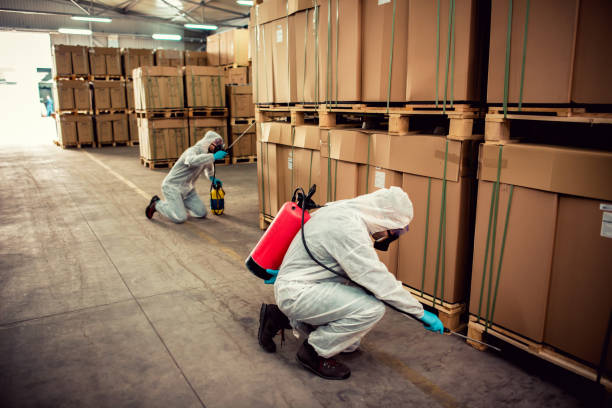 Best Exterminator Services  in Quail Creek, TX