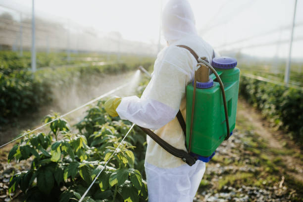 Best Local Pest Control Services  in Quail Creek, TX